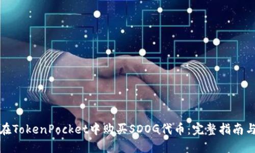 如何在TokenPocket中购买SDOG代币：完整指南与技巧