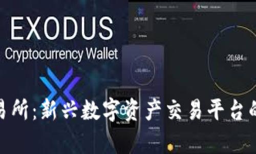 Bitmark交易所：新兴数字资产交易平台的前景与挑战