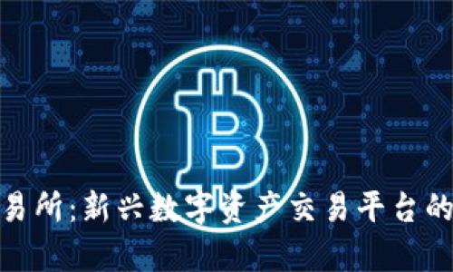 Bitmark交易所：新兴数字资产交易平台的前景与挑战