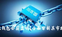 TokenPocket钱包会崩盘吗？全