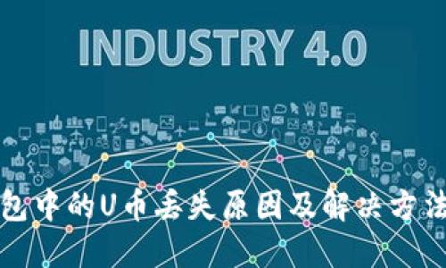 TP钱包中的U币丢失原因及解决方法详解