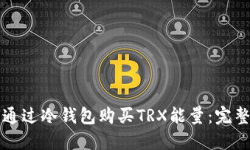 如何通过冷钱包购买TRX能量：完整指南