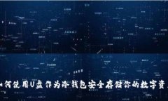 如何使用U盘作为冷钱包安