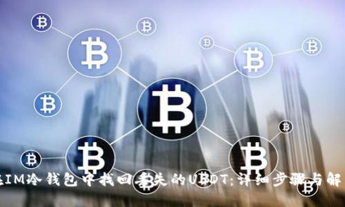如何在IM冷钱包中找回丢失的USDT：详细步骤与解决方案