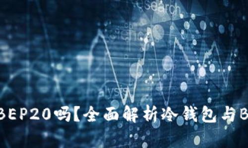 冷钱包支持BEP20吗？全面解析冷钱包与BEP20的关系