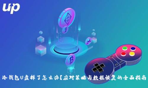 冷钱包U盘掉了怎么办？应对策略与数据恢复的全面指南
