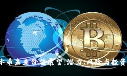 ICE冰币未来价值展望：潜力、风险与投资策略