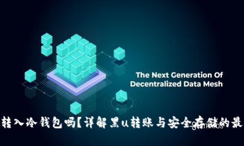 黑u能转入冷钱包吗？详解黑u转账与安全存储的最佳实践