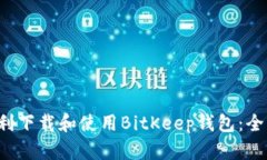  如何顺利下载和使用Bit