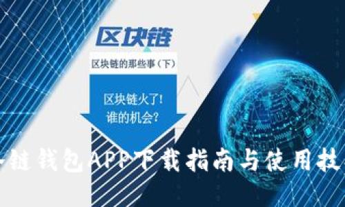 冷链钱包APP下载指南与使用技巧
