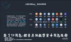 除了TP钱包：探索其他数字货币钱包选择