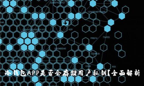 冷钱包APP是否会存储用户私钥？全面解析