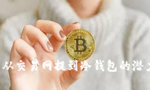 FIL币从交易网提到冷钱包的潜力分析