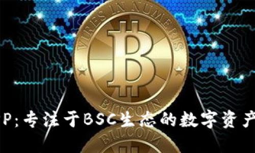 TP钱包APP：专注于BSC生态的数字资产管理利器