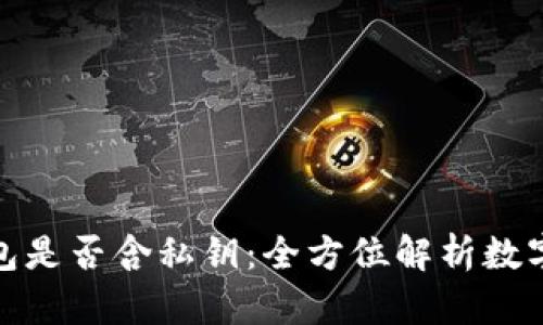 : TP观察钱包是否含私钥：全方位解析数字钱包安全性