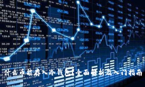 什么币能存入冷钱包？全面解析及入门指南