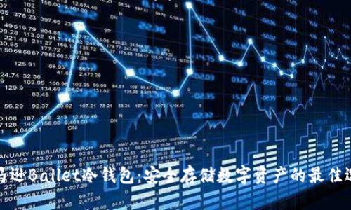 亚马逊Ballet冷钱包：安全存储数字资产的最佳选择