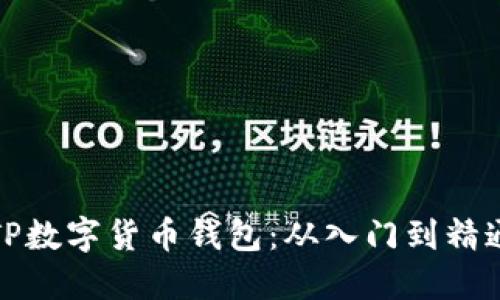 如何玩转TP数字货币钱包：从入门到精通的全攻略
