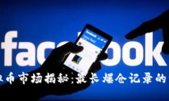 虚拟币市场揭秘：最长爆