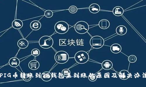 PIG币转账到TP钱包未到账的原因及解决办法