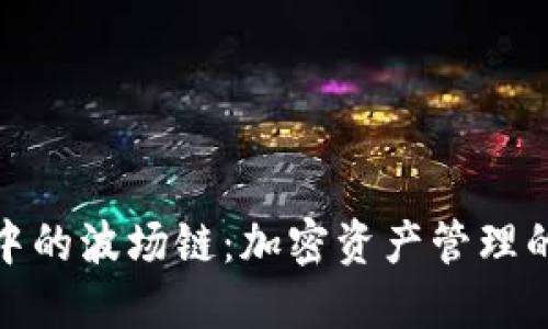 TP钱包中的波场链：加密资产管理的新选择