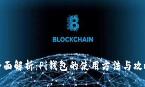 全面解析：Pi钱包的使用方法与攻略