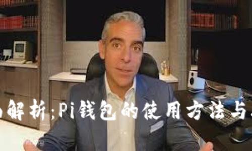 全面解析：Pi钱包的使用方法与攻略