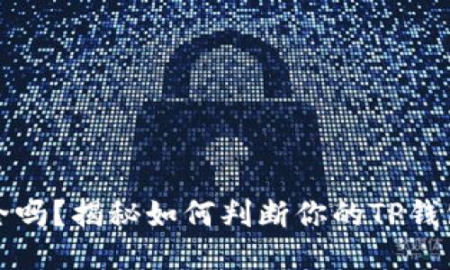 TP钱包安全吗？揭秘如何判断你的TP钱包是否被盗