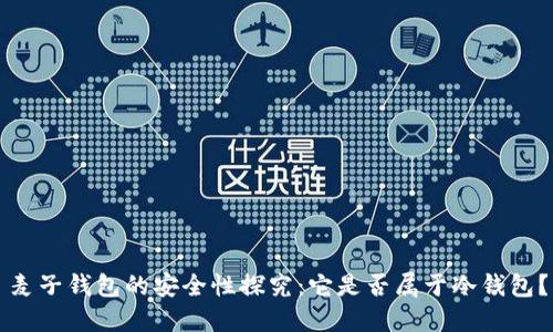 麦子钱包的安全性探究：它是否属于冷钱包？