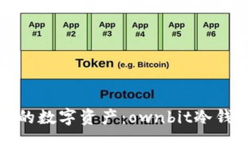 安全存储你的数字资产：ownbit冷钱包下载指南
