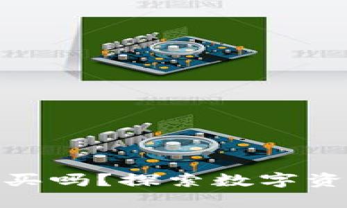 TP钱包上的新币可以买吗？探索数字资产投资的前景与风险