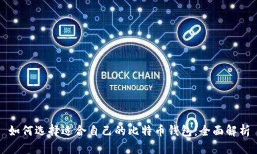 如何选择适合自己的比特币钱包：全面解析