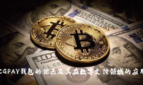 CGPAY钱包的优点及其在数字支付领域的应用