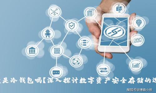 U盘是冷钱包吗？深入探讨数字资产安全存储的选择