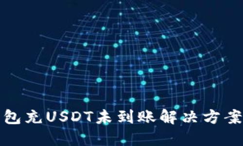 TP钱包充USDT未到账解决方案详解