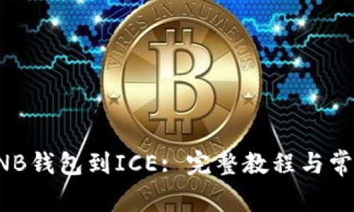 如何绑定BNB钱包到ICE: 完整教程与常见问题解答