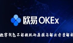 数字钱包不能提现的原因与解决方案解析