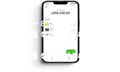 meta charset=＂UTF-8＂如何将TP钱包中的币转化为US