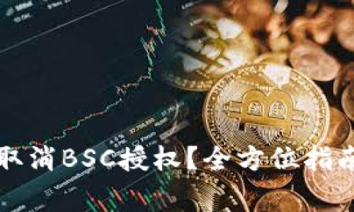 如何在TP钱包中取消BSC授权？全方位指南与常见问题解答